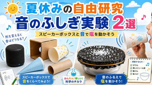 夏休みの自由研究におすすめ【小学校高学年・中学生向け】